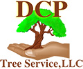 DCP Tree Service LLC Lake Ridge VA