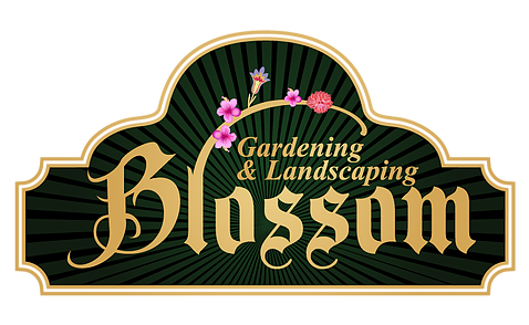 Blossom Gardening & Landscaping Aspen CO