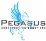 Pegasus Construction, Kitchen Countertop Installation St. Petersburg FL