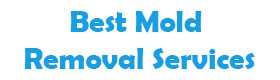 Best Mold Removal Services