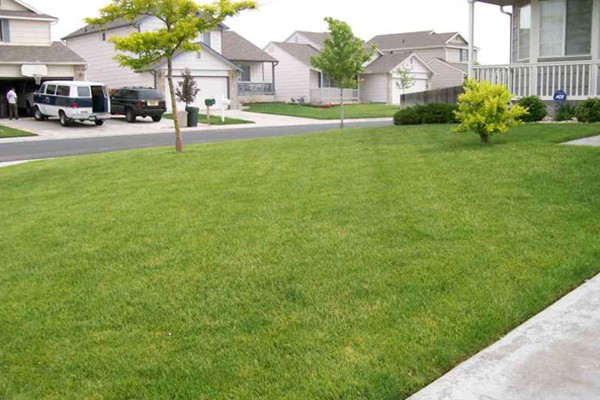 Affordable Landscaping Contractor