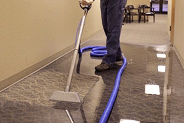 Affordable Carpet Cleaners