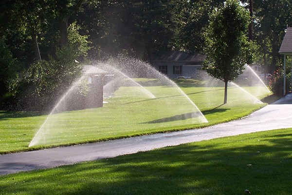 Affordable Irrigation Services