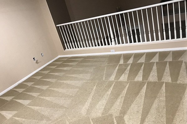 Carpet Stain & Odor Removal