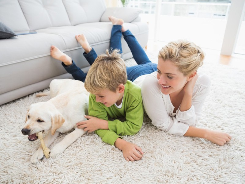 Reasons To Hire Our Carpet Cleaning Services