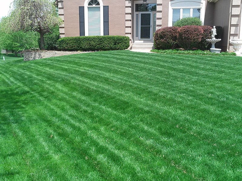 Benefits Of Hiring Our Lawn Care Services