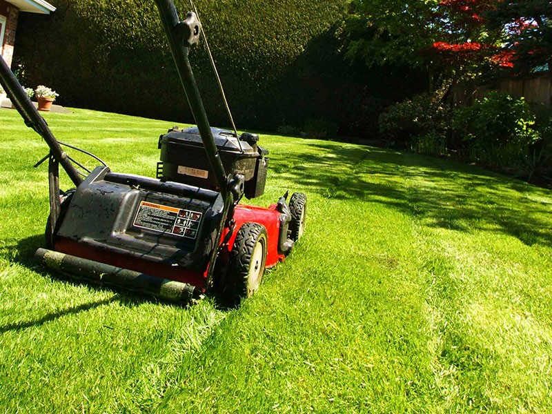Our Reliable Mowing Contractors Stand Out From The Rest