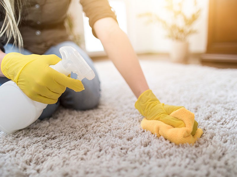 Why You Should Hire Our Professional Carpet Cleaners