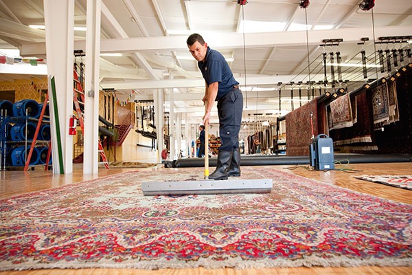 Best Area Rug Cleaners