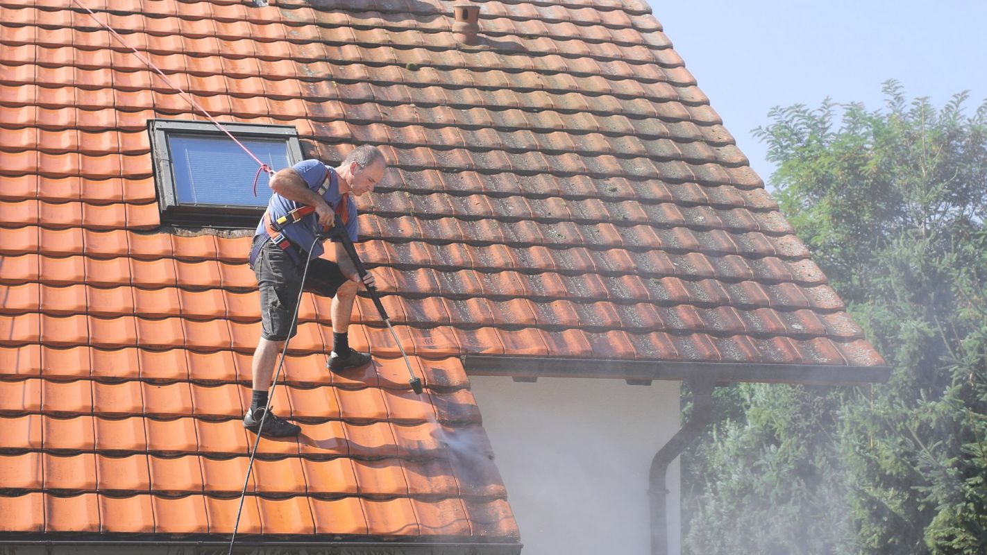 Roof Cleaning Services North Miami Beach, FL