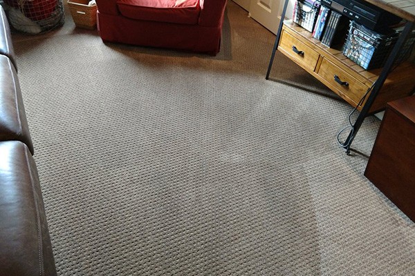 Organic Rug Cleaning