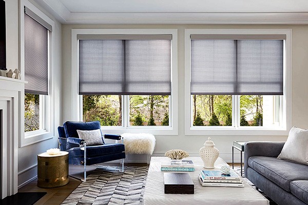 Affordable Roller Shades